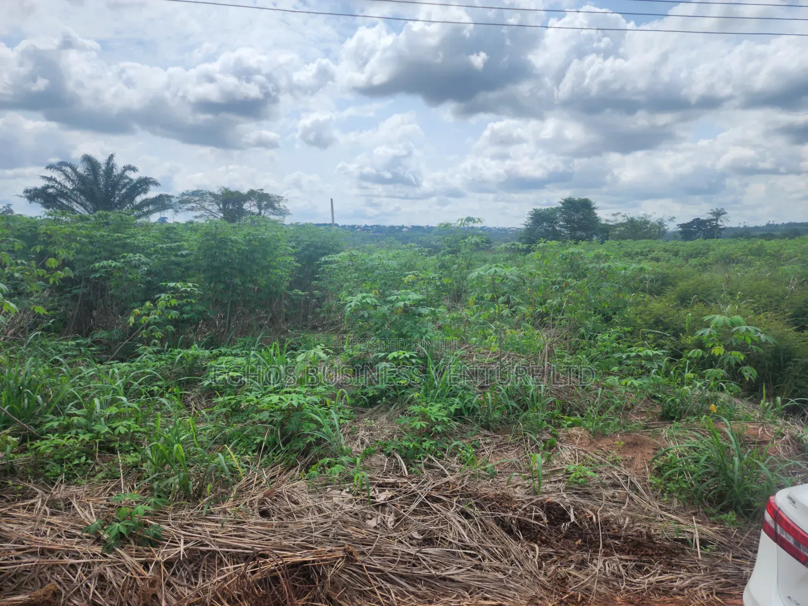 200ft by 200ft for Sale at Back of Ubth in Benin City