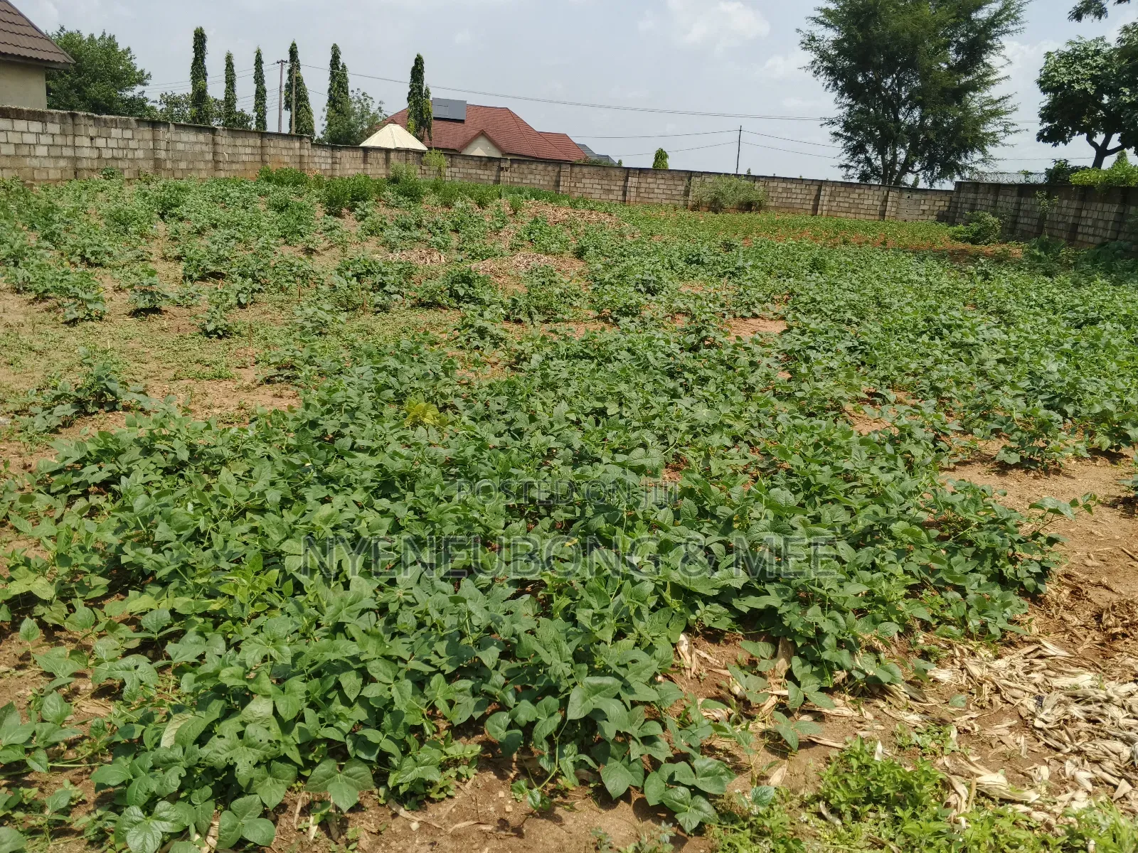 1500sqm Land for Sale in Karu