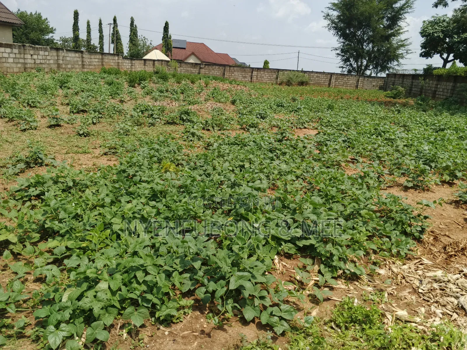 1500sqm Land for Sale in Karu