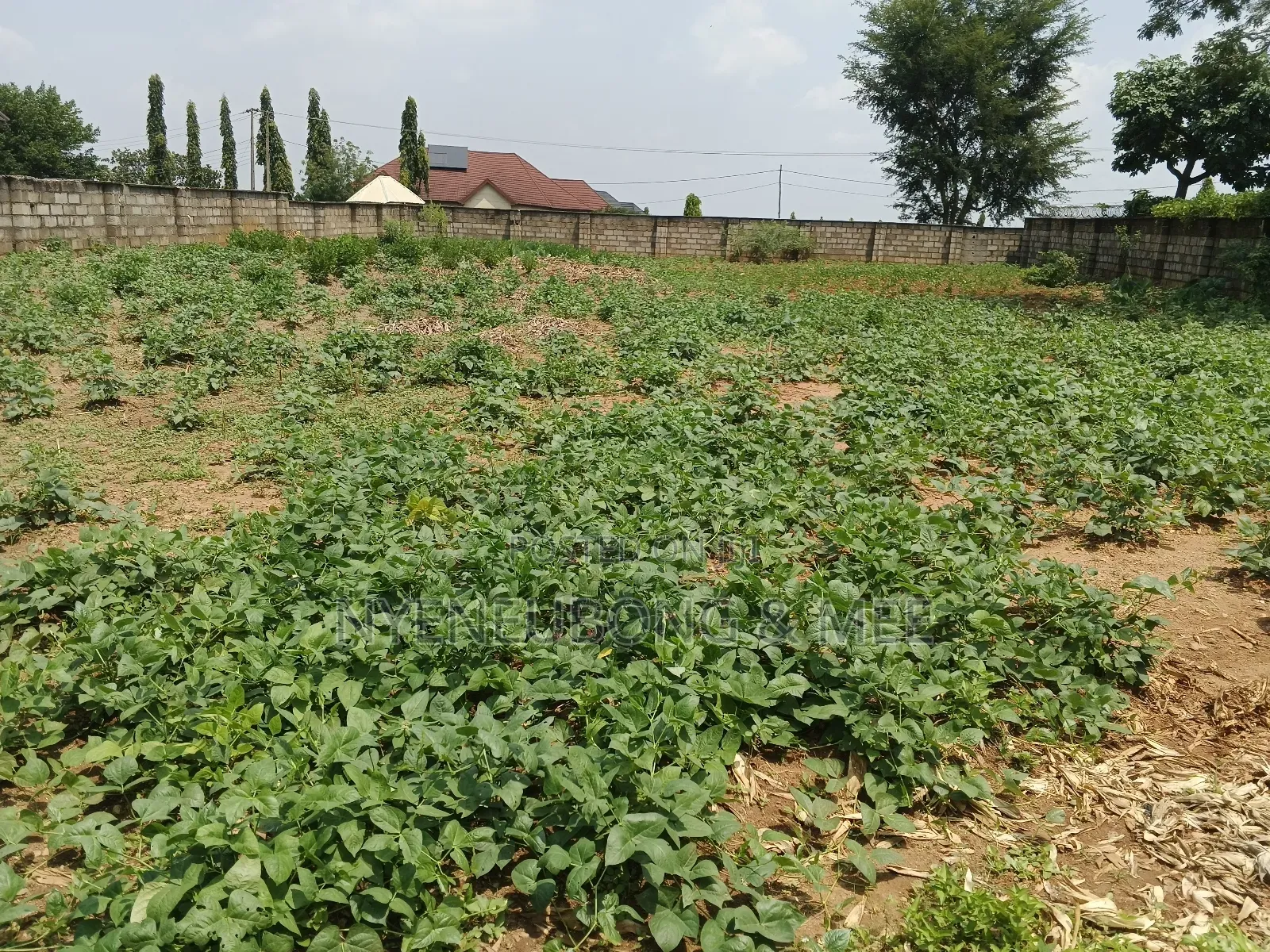 1500sqm Land for Sale in Karu