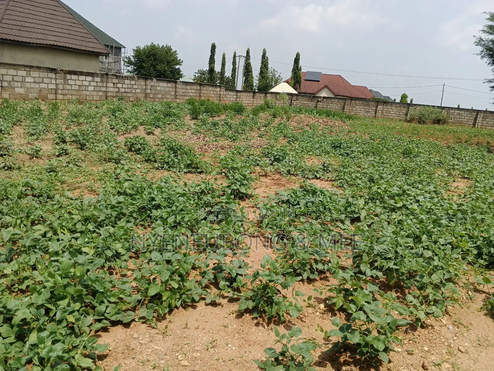 1500sqm Land for Sale in Karu