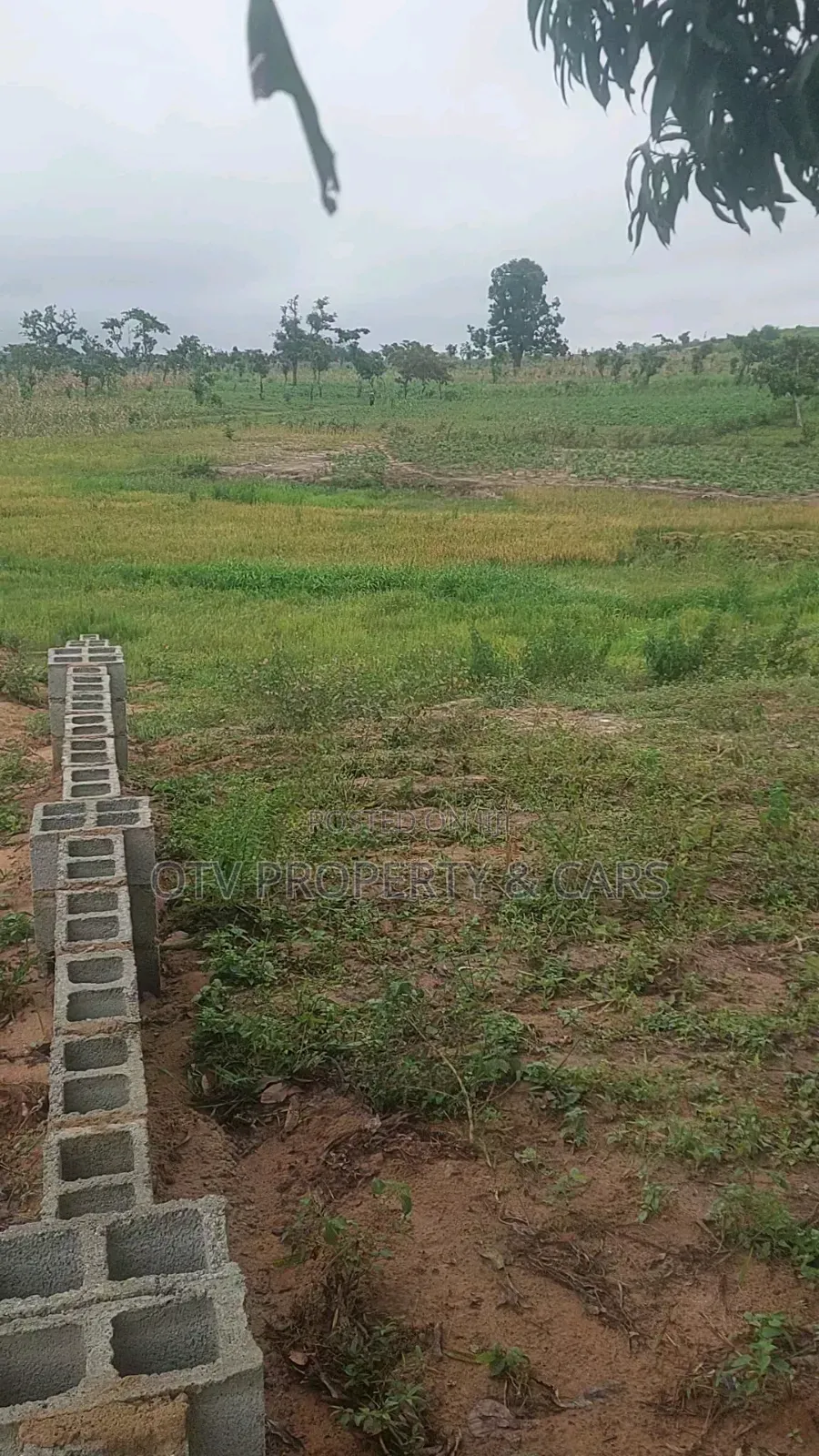 20 Hectare at Guzape 2 for Sale Purpose~Mixed Use (Comp) in Guzape District