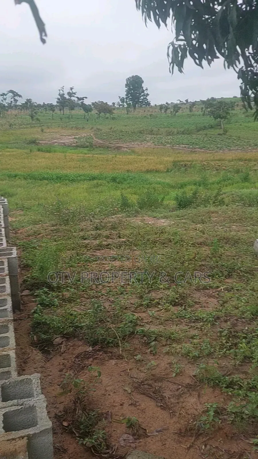 20 Hectare at Guzape 2 for Sale Purpose~Mixed Use (Comp) in Guzape District