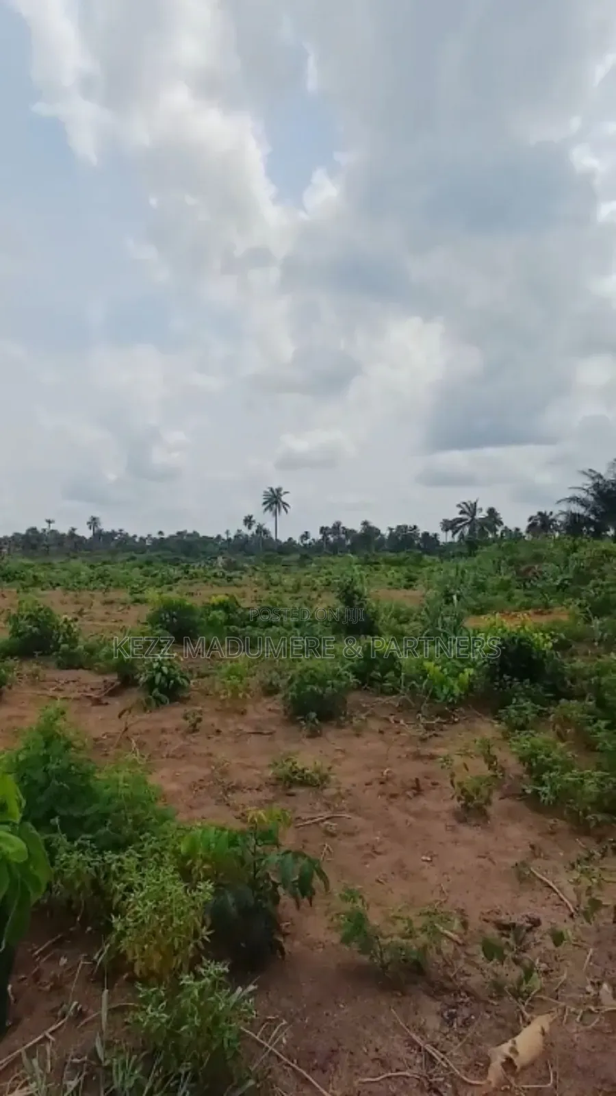 For Sale: Massive Land at Omagwa, Port Harcourt in Ikwerre
