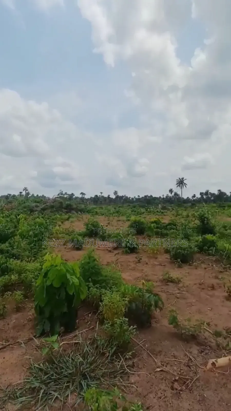 For Sale: Massive Land at Omagwa, Port Harcourt in Ikwerre