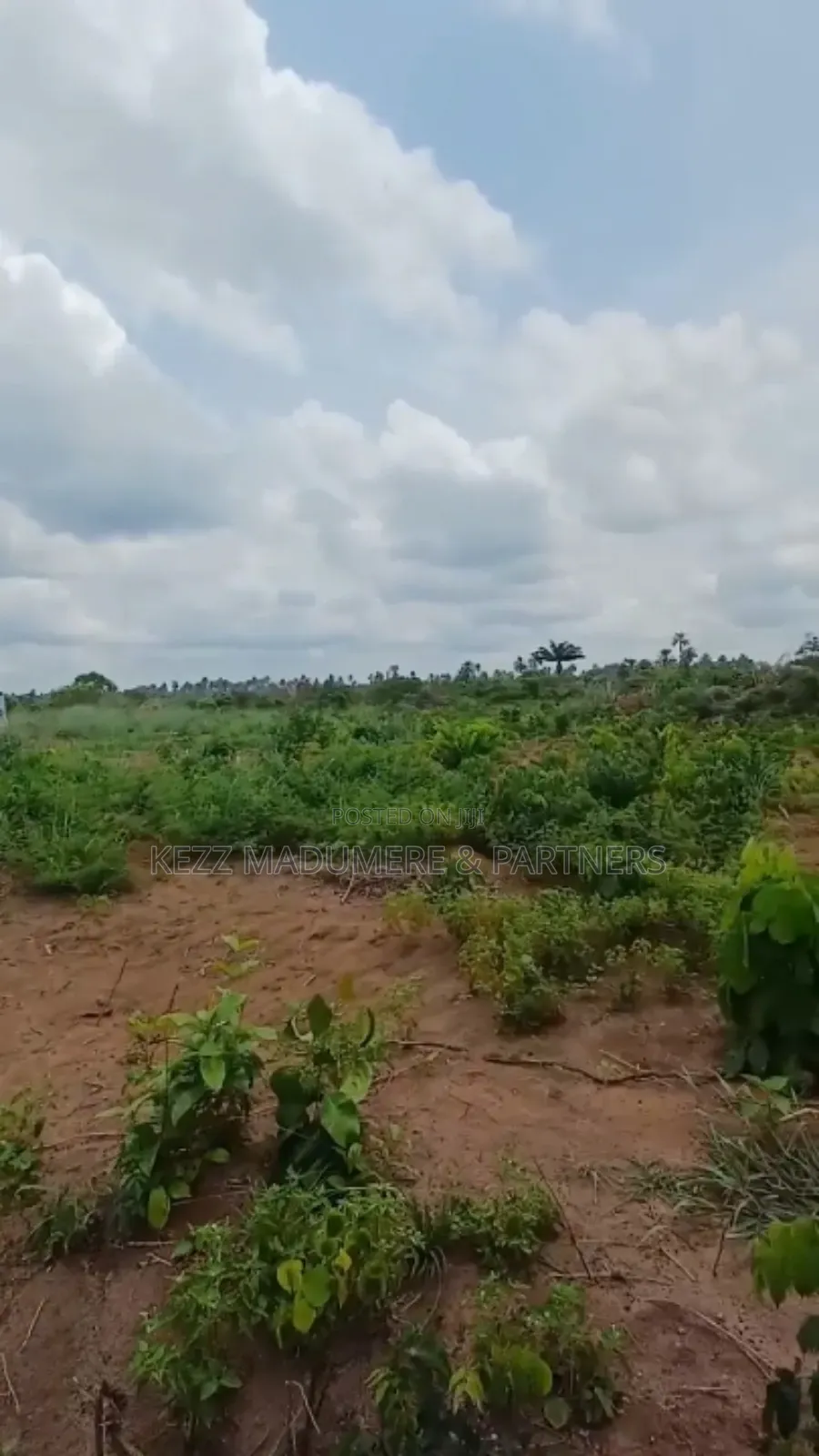 For Sale: Massive Land at Omagwa, Port Harcourt in Ikwerre