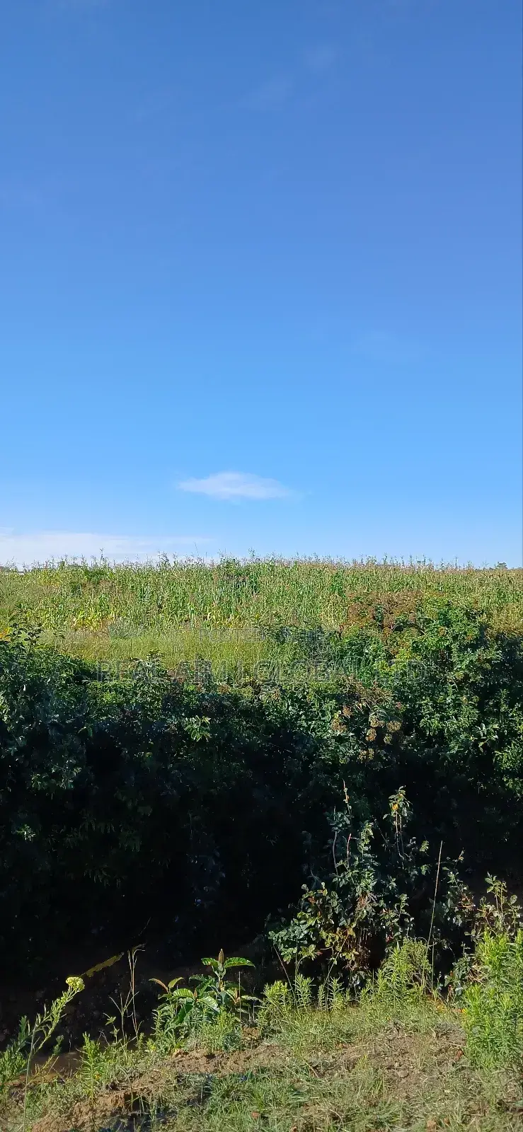 50 Plots for Sale at Doi Du Jos South in Jos