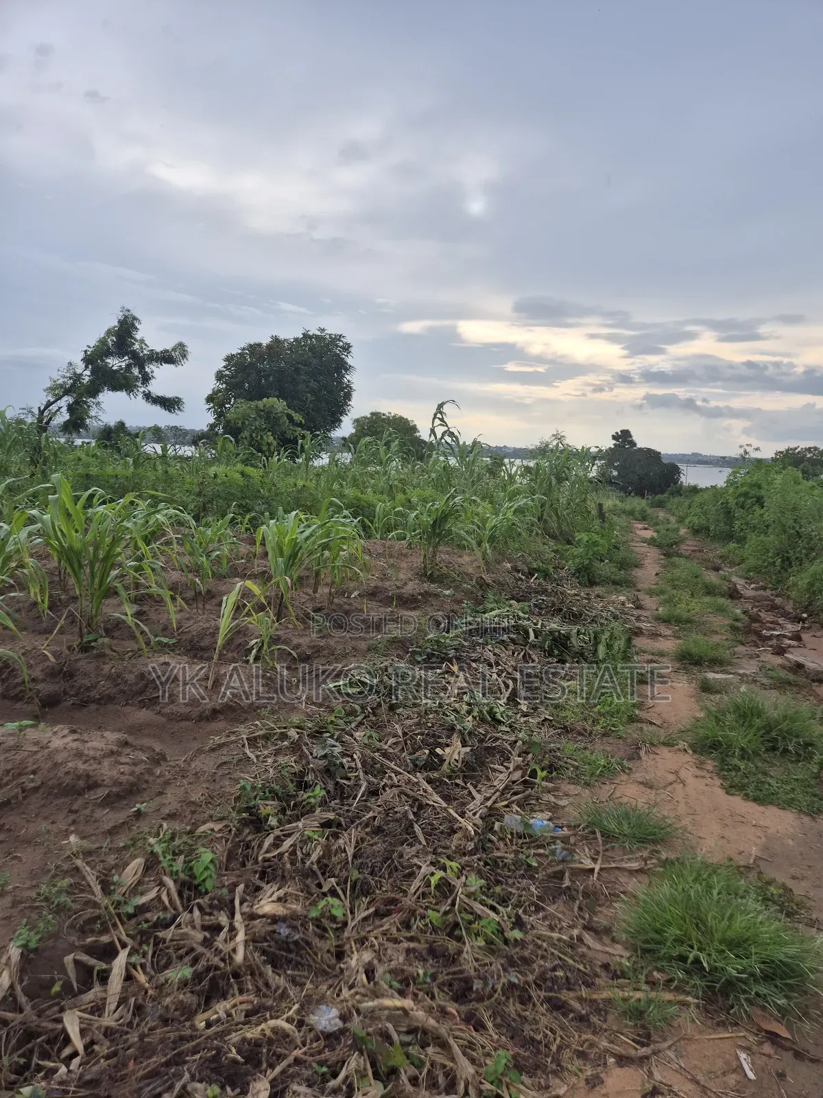Certificate of Occupancy and Deed of Assignment in Ilorin West