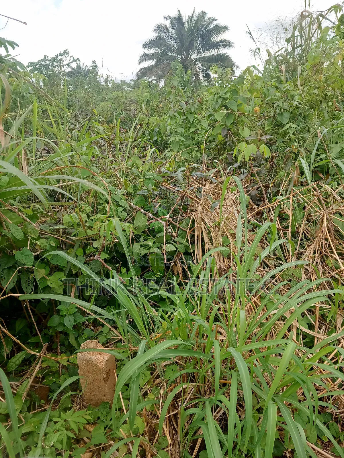 50/100 Land Egba,Aduwawa for 3m Naira Slightly Negotiable in Benin City