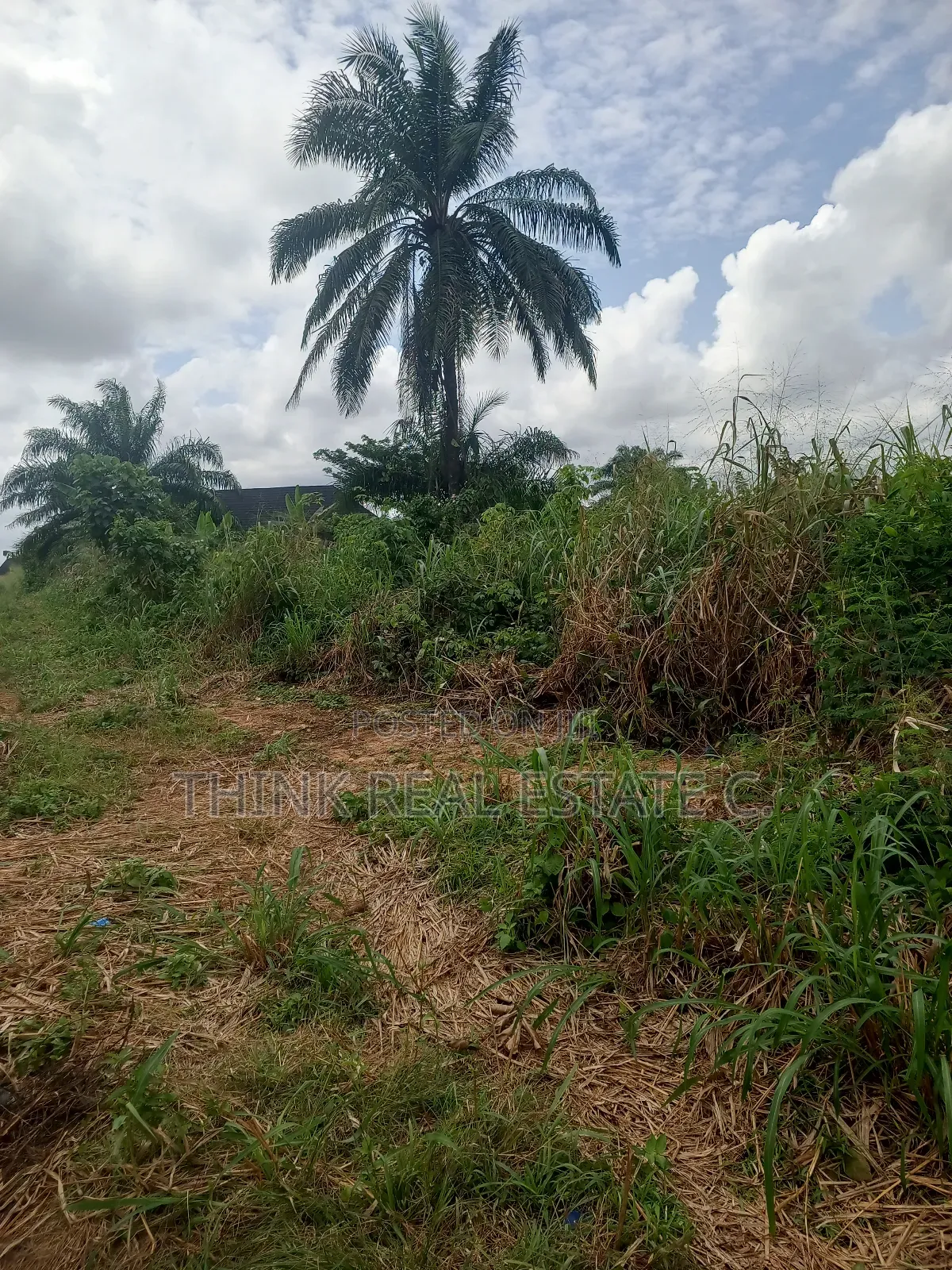 50/100 Land Egba,Aduwawa for 3m Naira Slightly Negotiable in Benin City