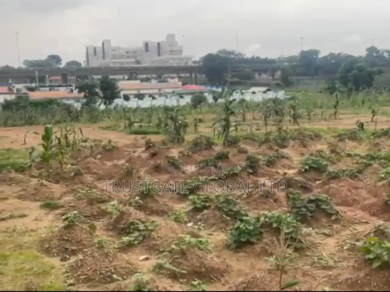 Hot Property Alert in Central Business District