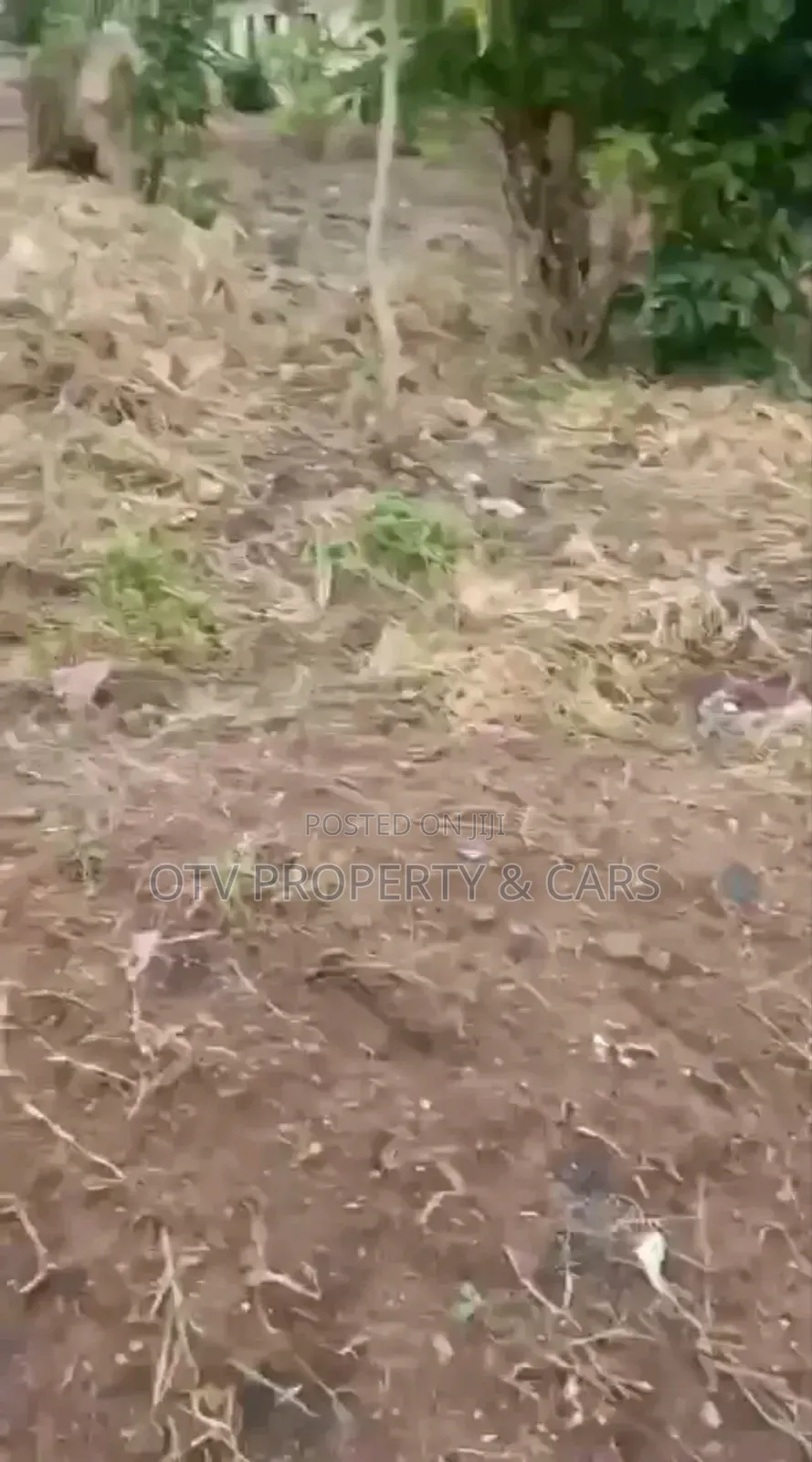 *For Sale 2 Standard Plots of Land in Ibadan