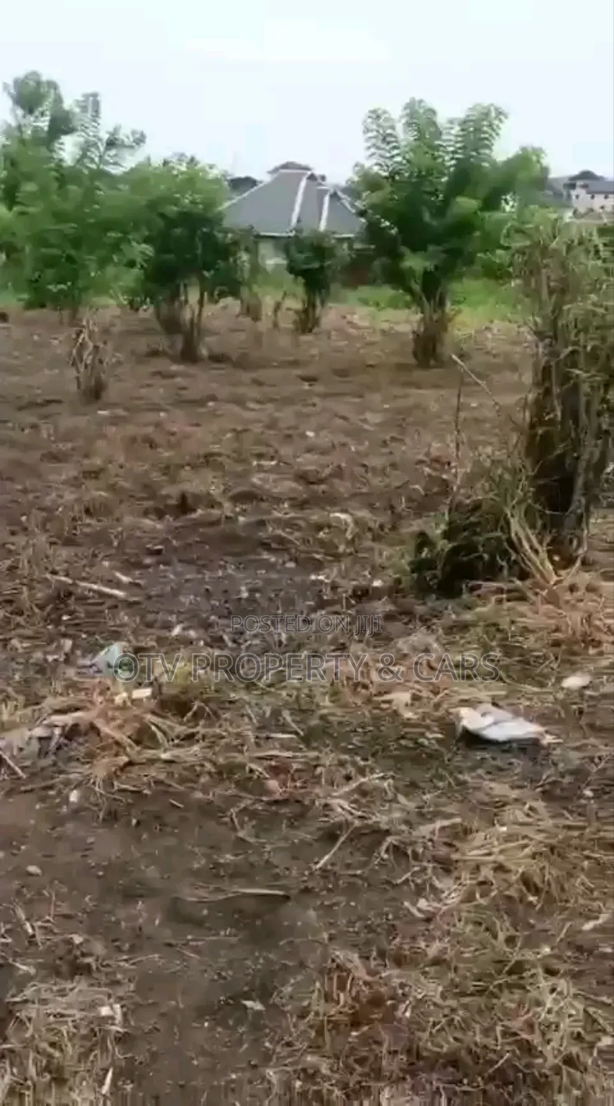 *For Sale 2 Standard Plots of Land in Ibadan