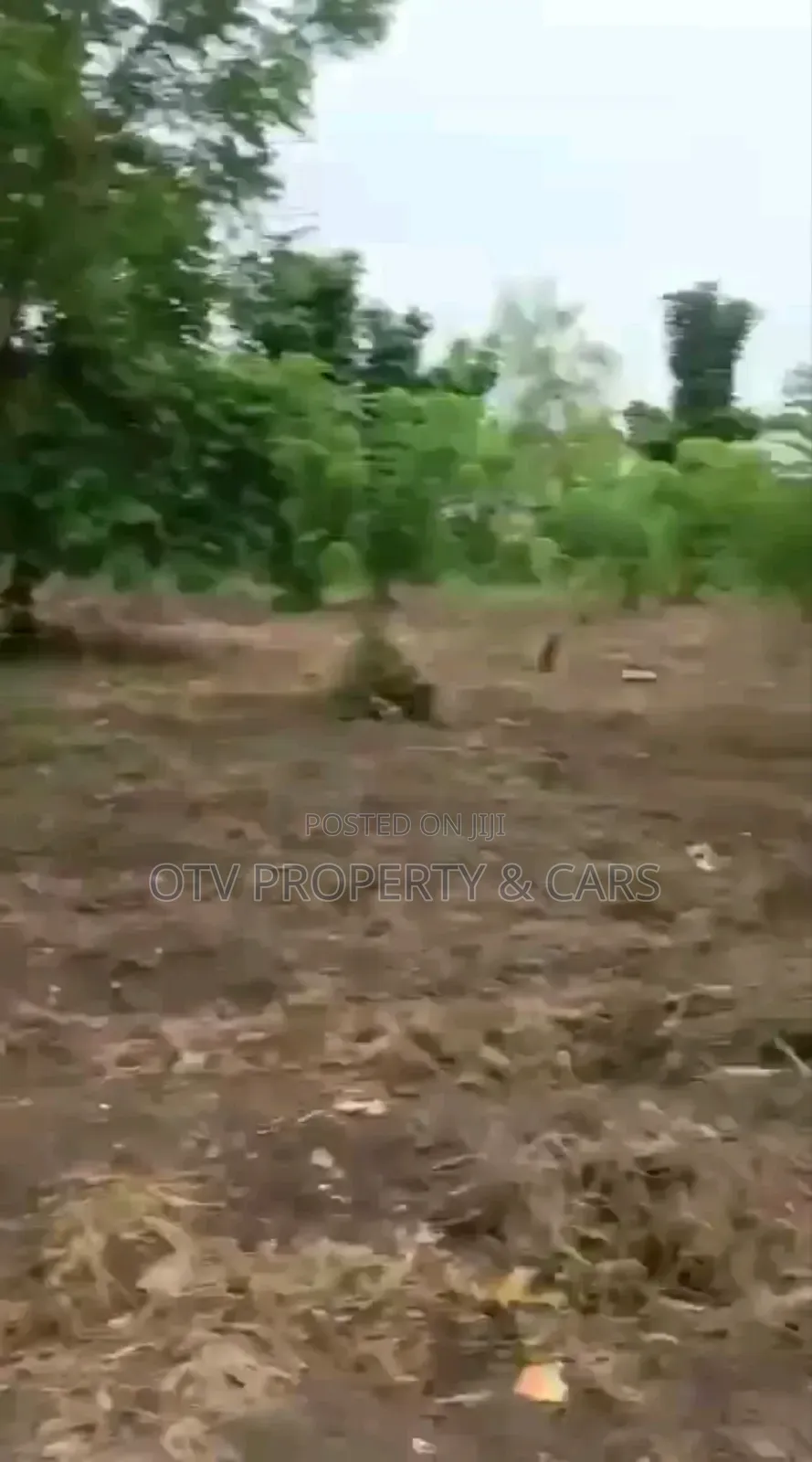 *For Sale 2 Standard Plots of Land in Ibadan