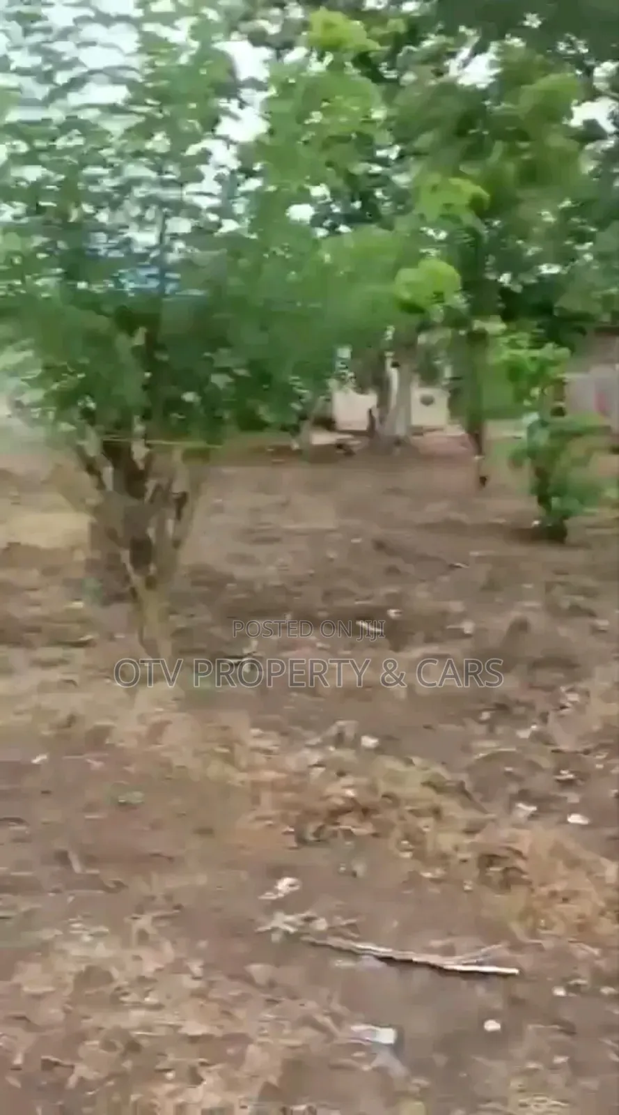 *For Sale 2 Standard Plots of Land in Ibadan