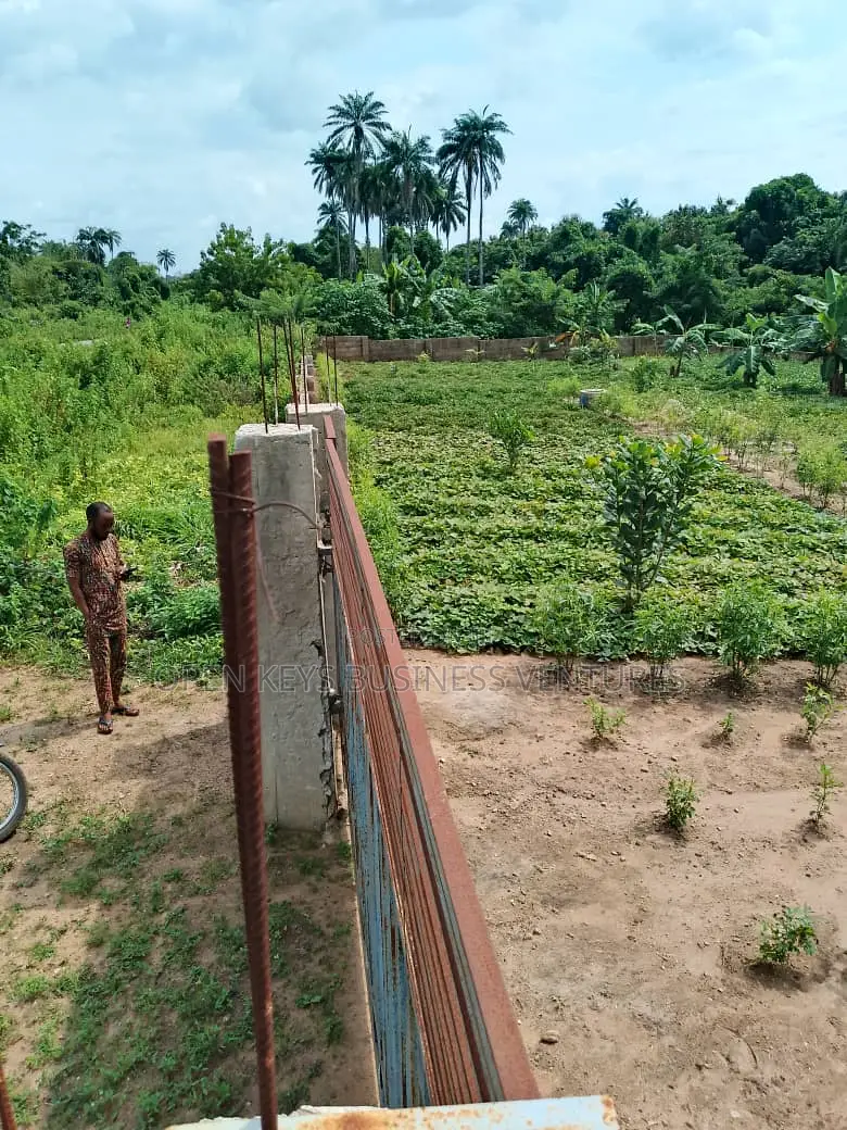 A 10000 Capacity Poultry Farm With Fish Pond in Tede-Okeogun