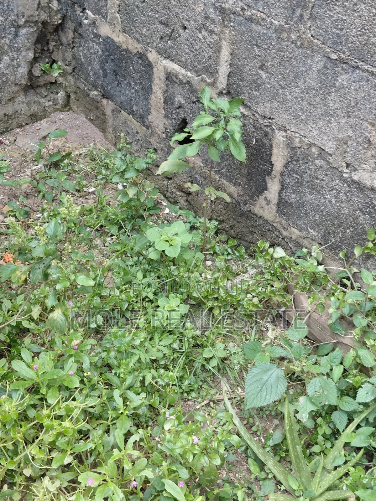 2 Plots Facing Leki Epe Expressway Lakowe in Lakowe