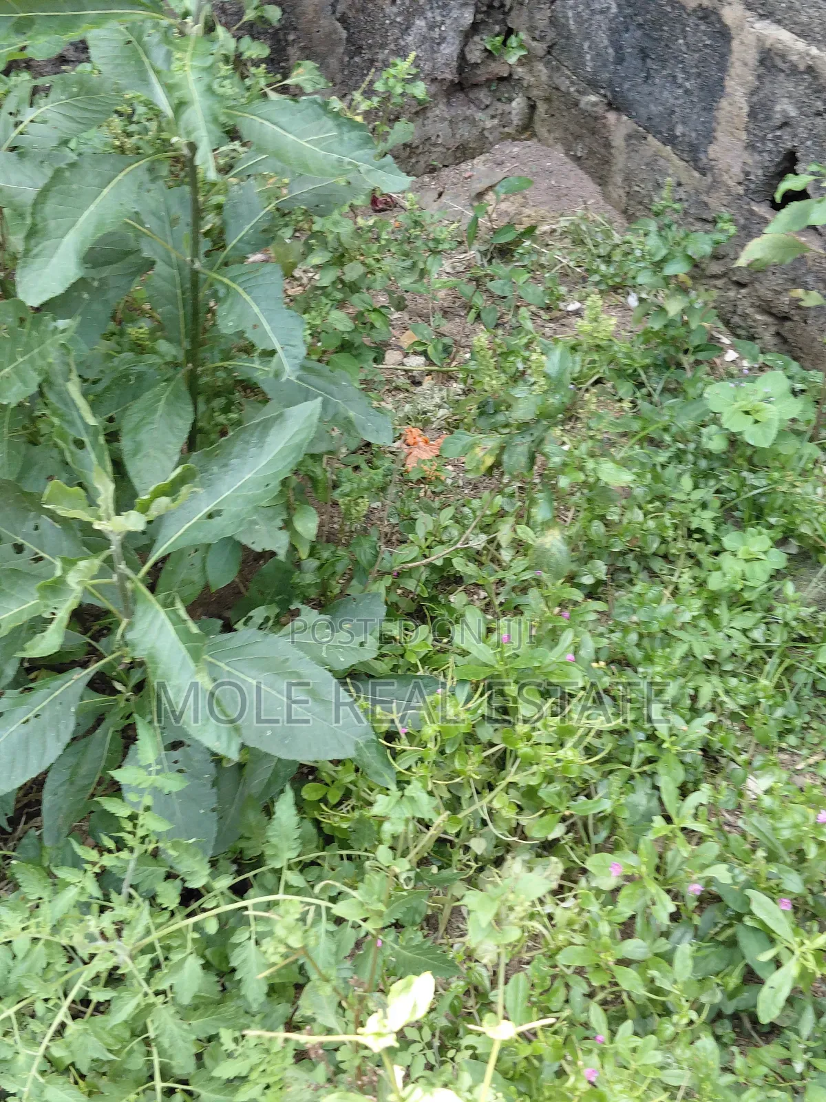 2 Plots Facing Leki Epe Expressway Lakowe in Lakowe