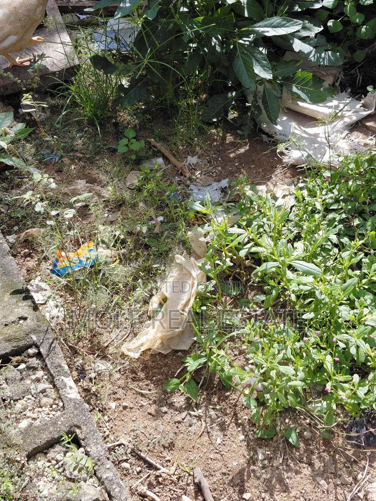 3 Plots Facing Leki Epe Expressway Abijo in Abijo
