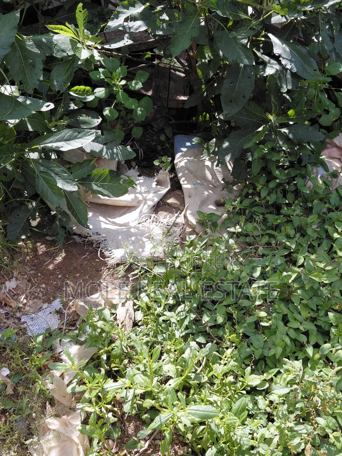 7 Acers Owode Onirin Elede /Mile 12 Lagos Ikorodu Rd in Mile 12