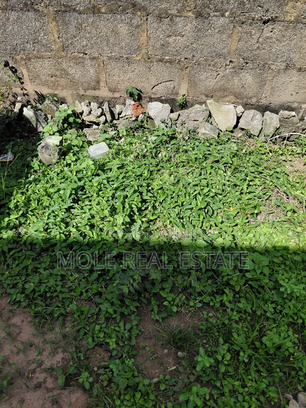 10 Plots Facing Lagos Abeokuta Expressway Sango Ota in Ado-Odo/Ota