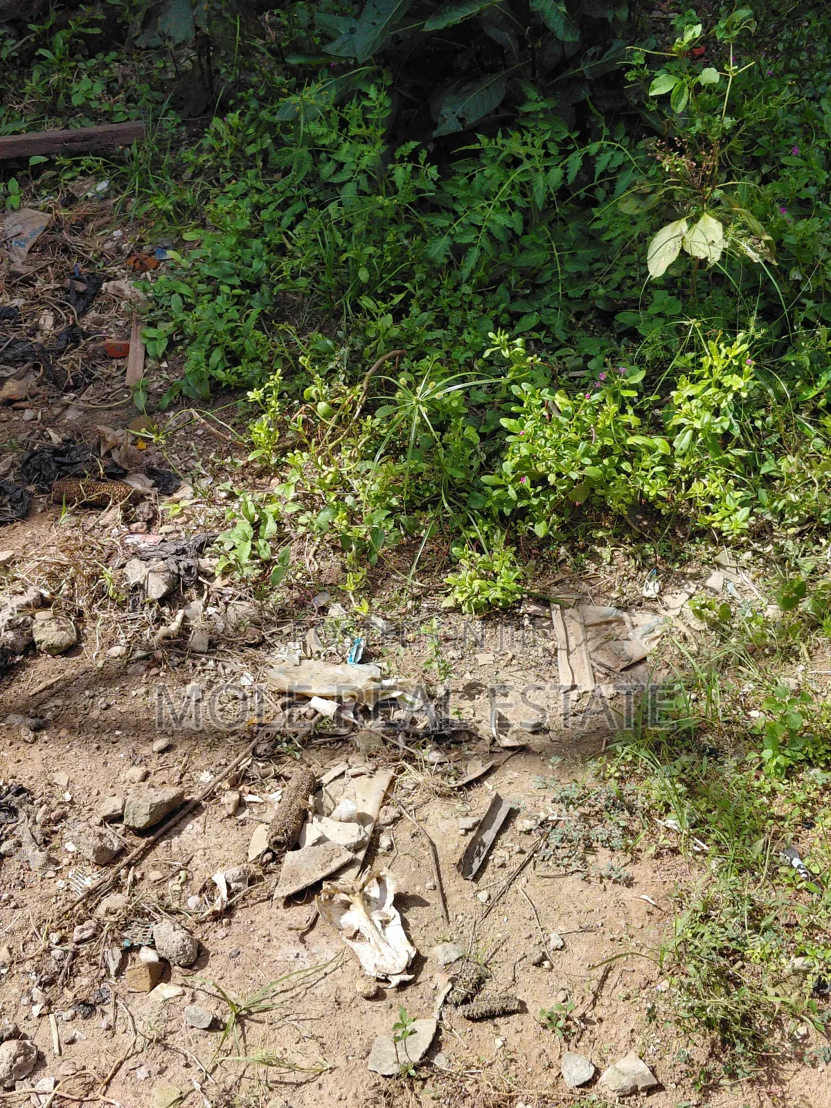 10 Plots Facing Lagos Abeokuta Expressway Sango Ota in Ado-Odo/Ota