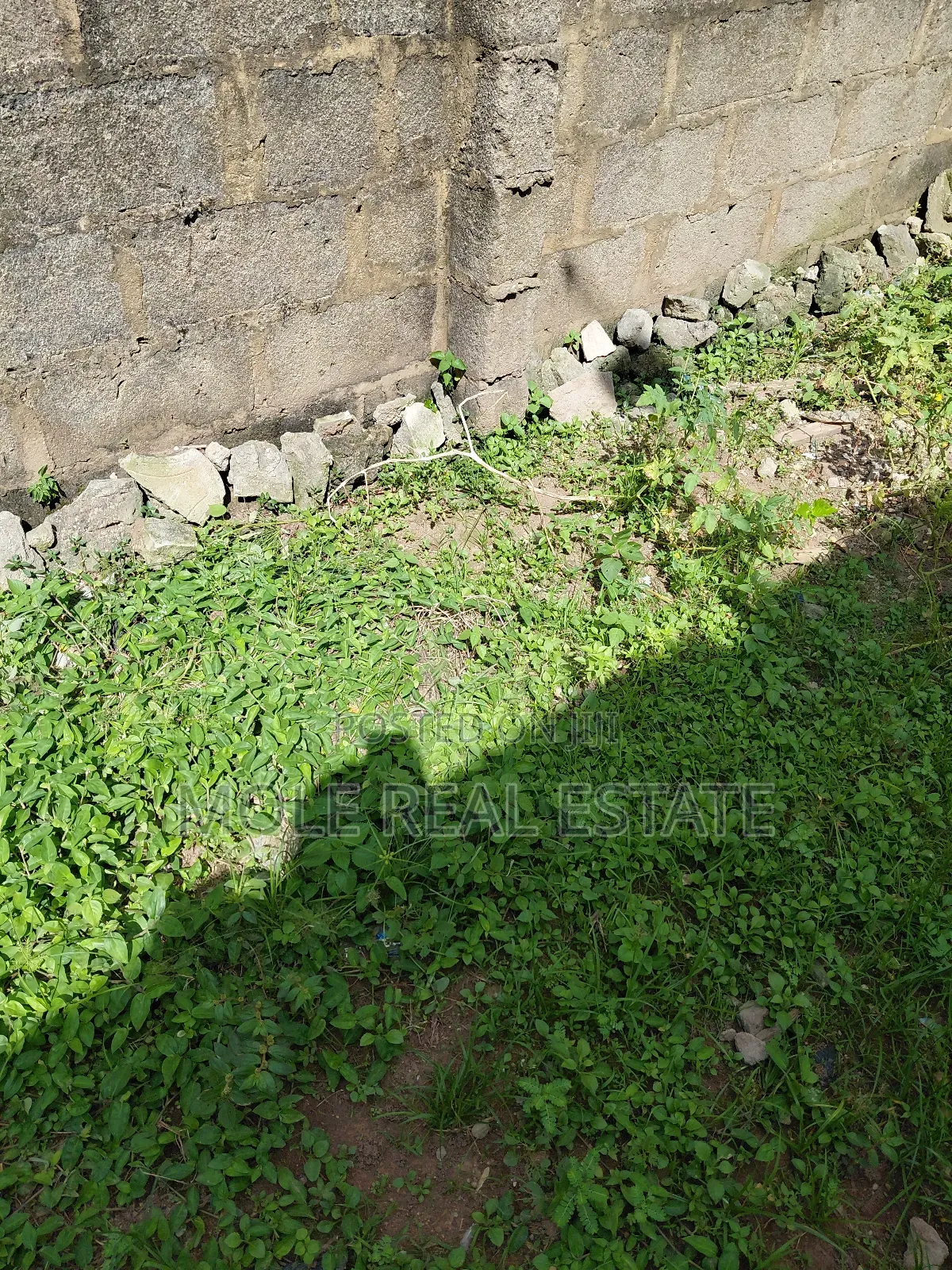 Full Plot Of Land Heart Of Oregun Ikeja Lagos in Oregun
