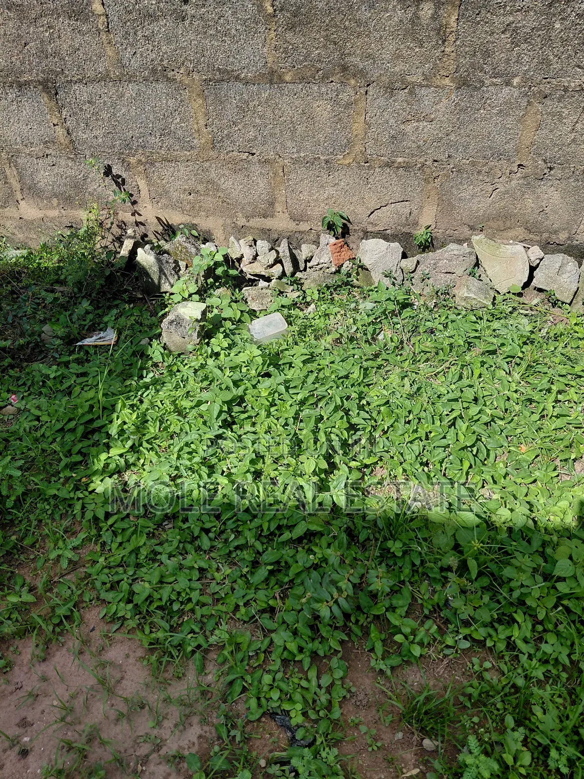 200 Acers Of Prime Land Arepo Developed Area Estate Site in Obafemi-Owode