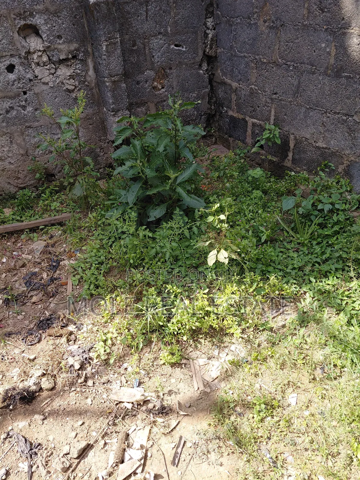 1800sqm Plot Osborne Phase 1 Ikoyi in Ikoyi