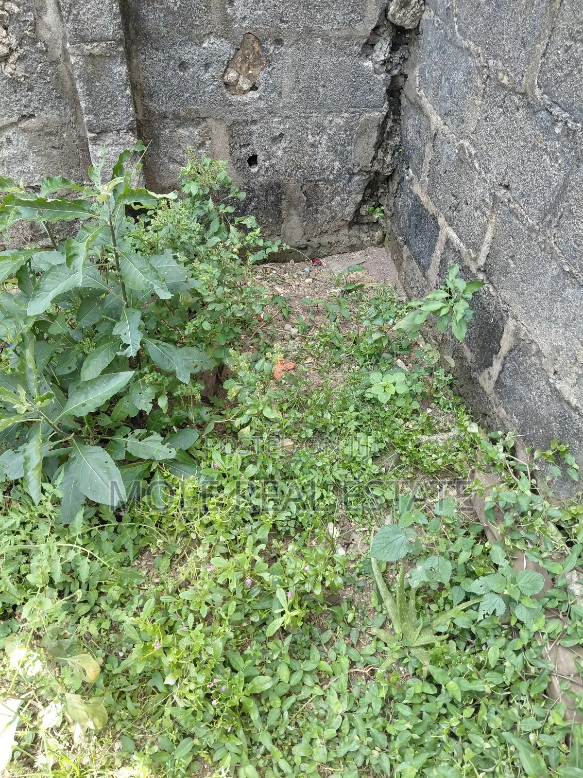 Farm Land Km Now Selling Owode Ogun State in Obafemi-Owode