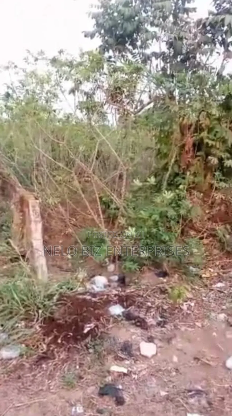1 Full Plus Extra Plot Of Land For Sale. in Owerri