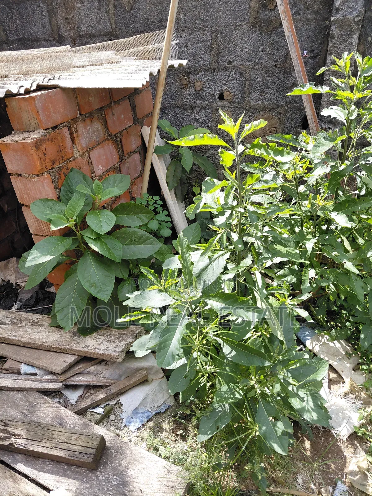 50ft by 100ft Plot Mawuko Funab Odeda Ogun State in Odeda