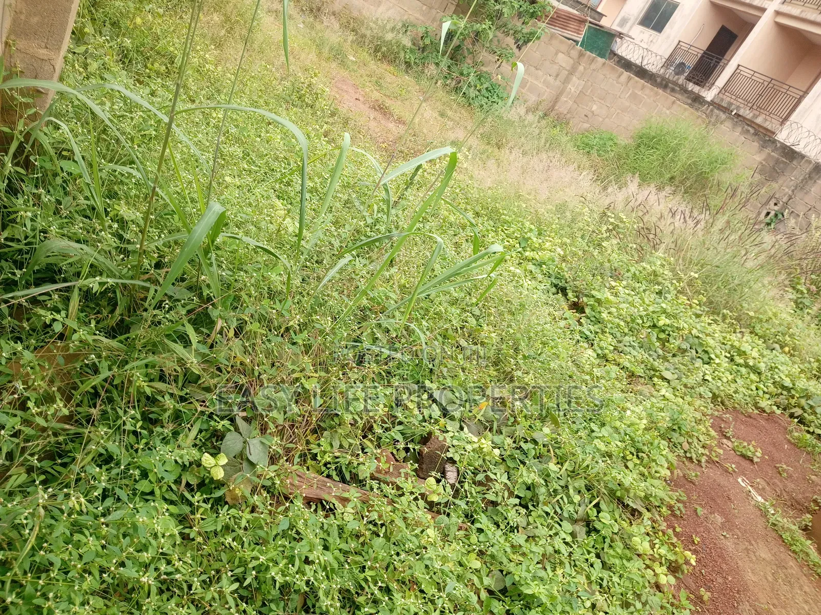 Half Plot of Land at Alakia – 2 Minutes to Vintage Mall Junction in Alakia