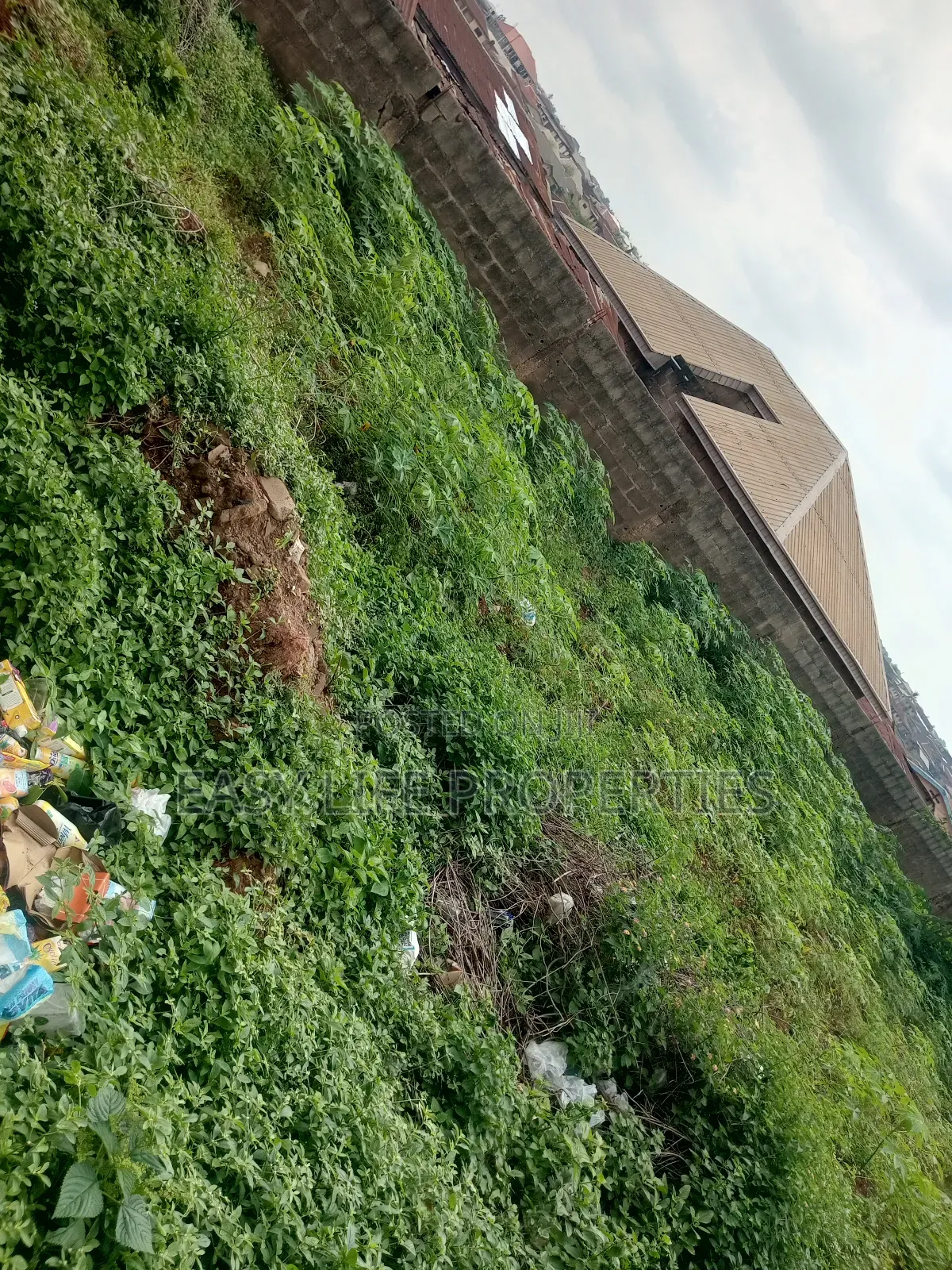 Standard Plot Of Land At Hope Street, Alakia Old Ife Rd. in Alakia