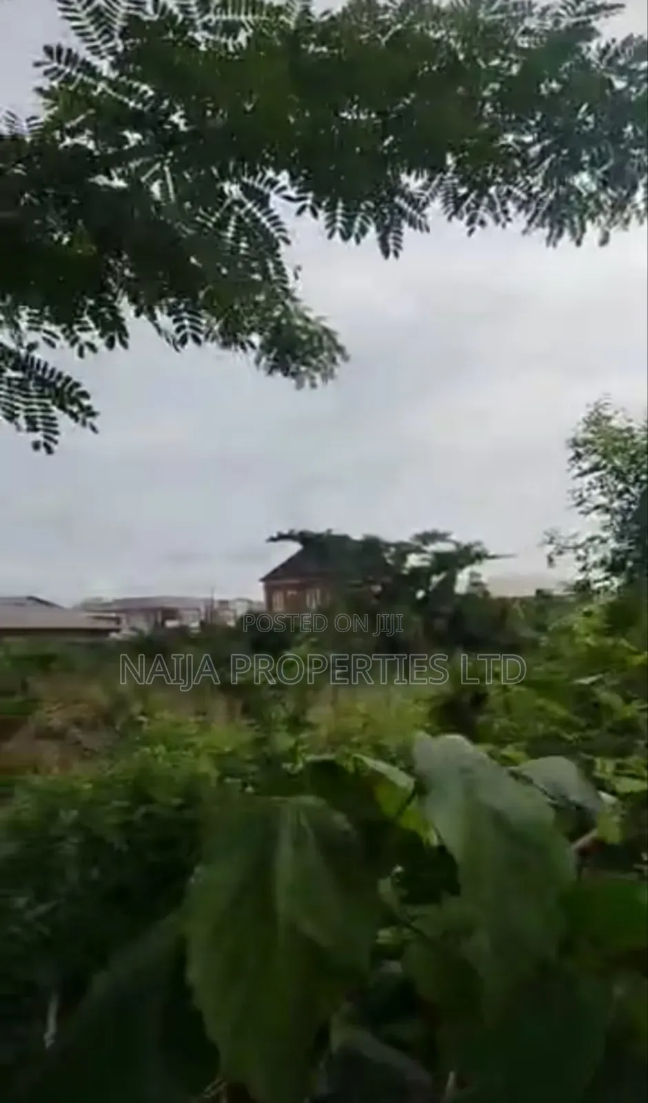 More Than 3plots of Land at Ocean Palm Estate Sangotedo, Ajah for Sale in Sangotedo