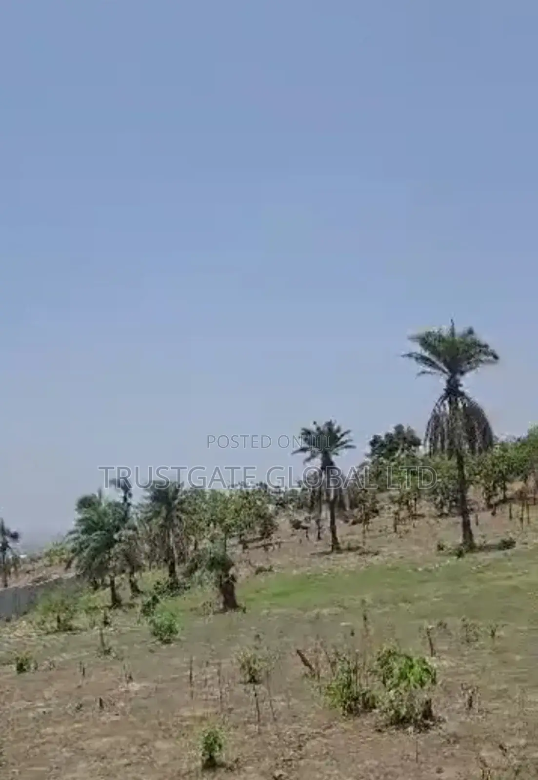 5 Hectares in Guzape 2 for Sale in Guzape District