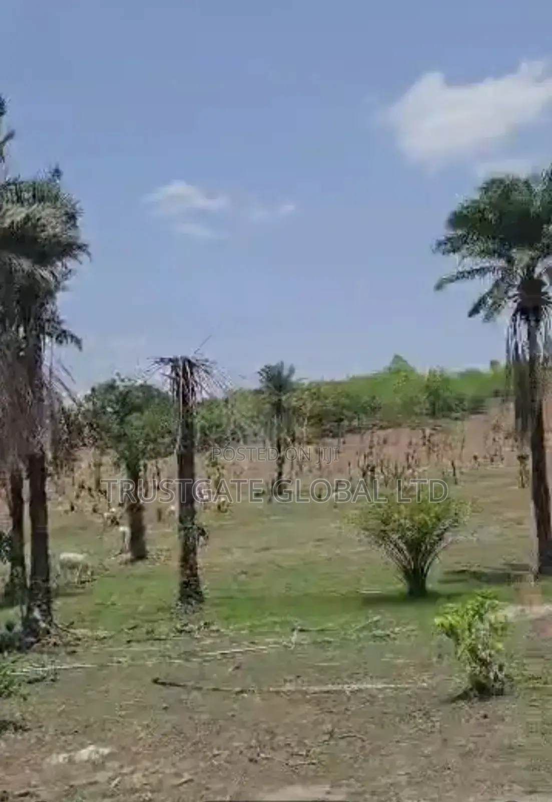 2.8ha in Guzape 2 for Sale in Guzape District