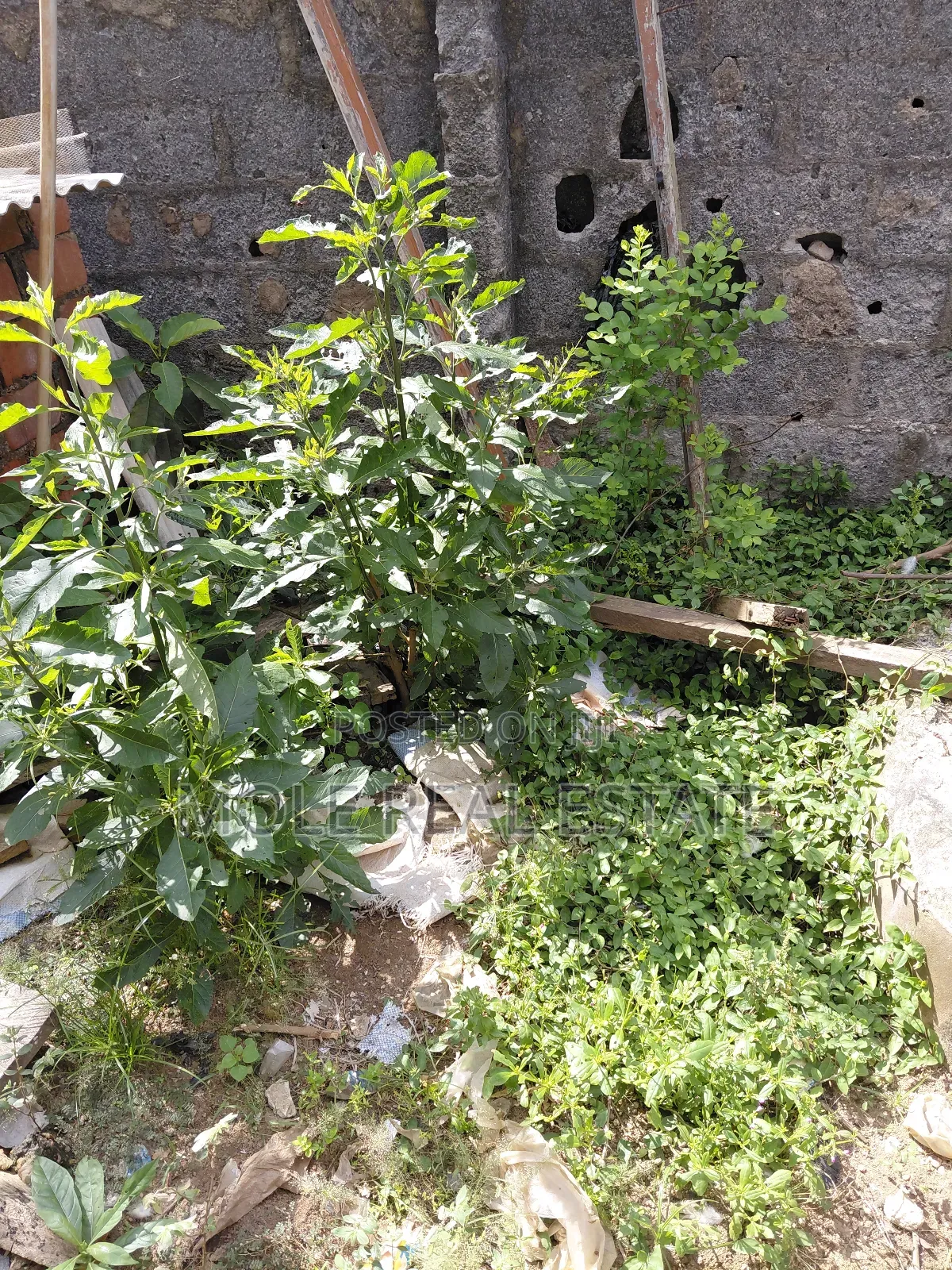 86 Acers Facing Lagos Ibada Rd by Sagamu Interchange in Obafemi-Owode