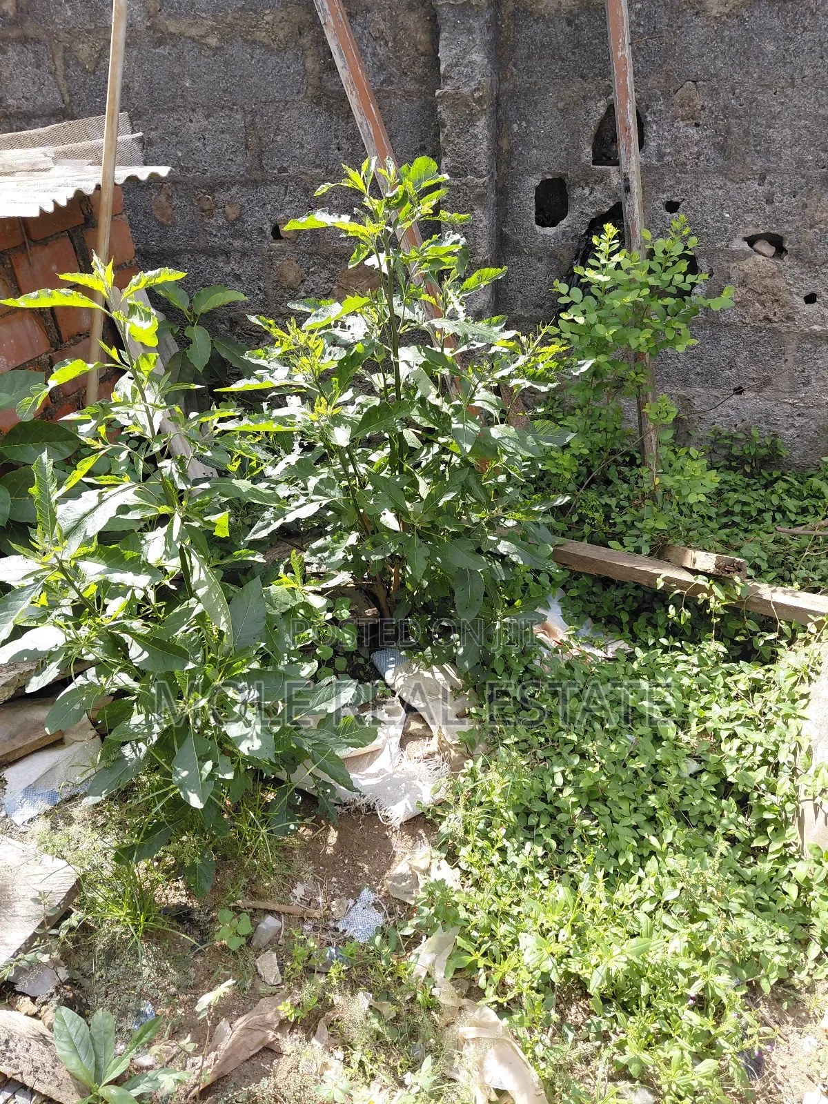 86 Acers Facing Lagos Ibada Rd by Sagamu Interchange in Obafemi-Owode