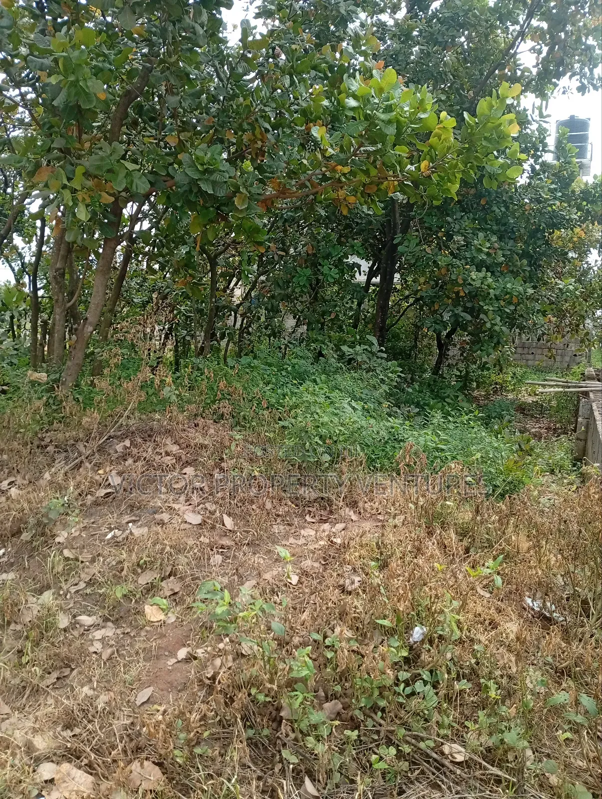 Residential Plot in Kubwa