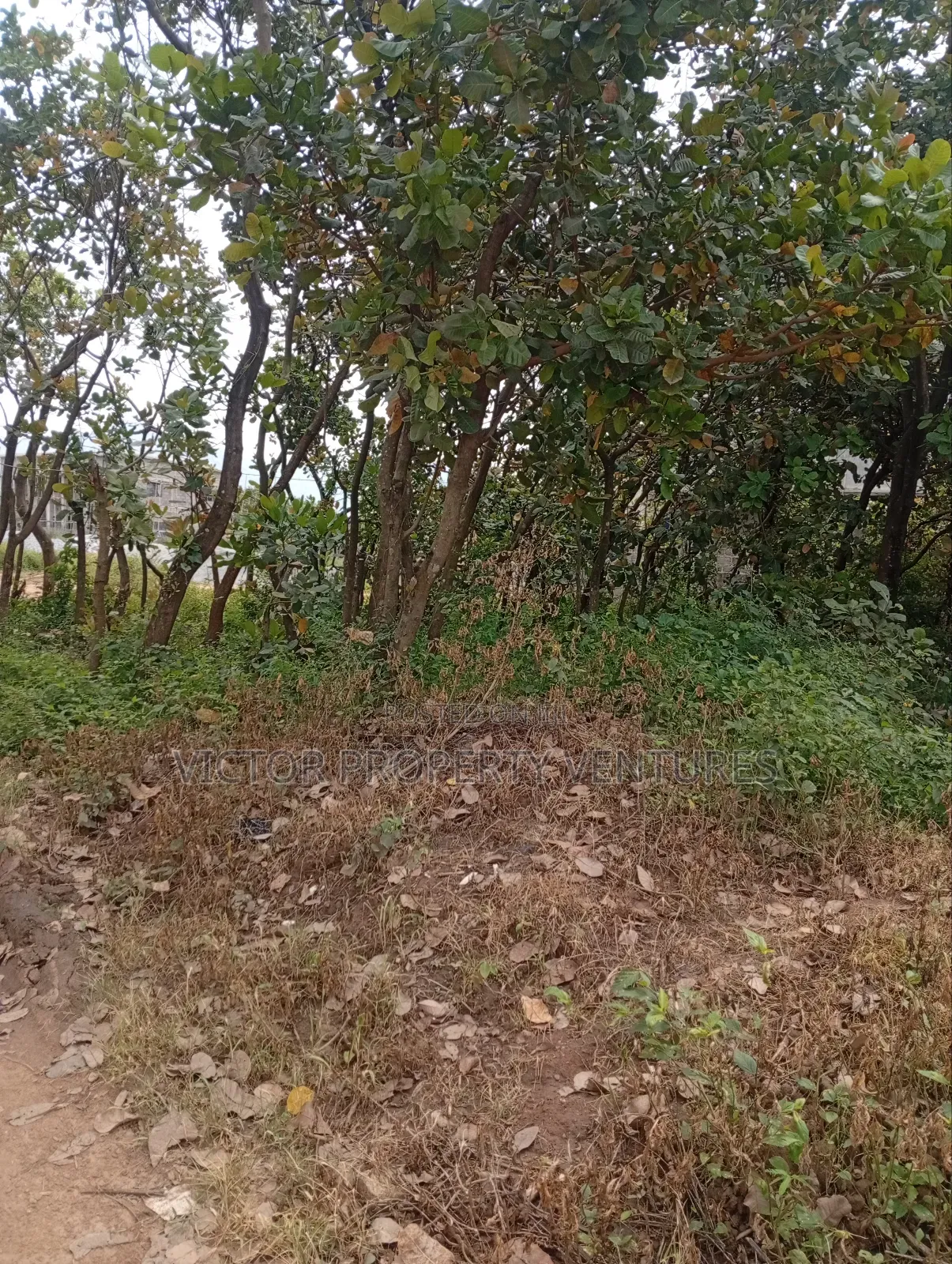 Residential Plot in Kubwa