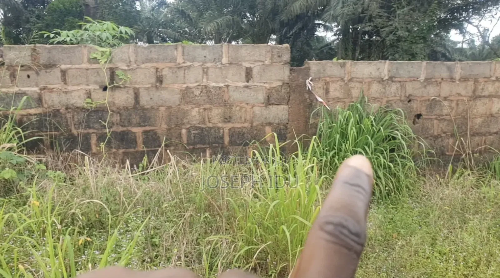 Land for Sale in Nsukka in Nsukka