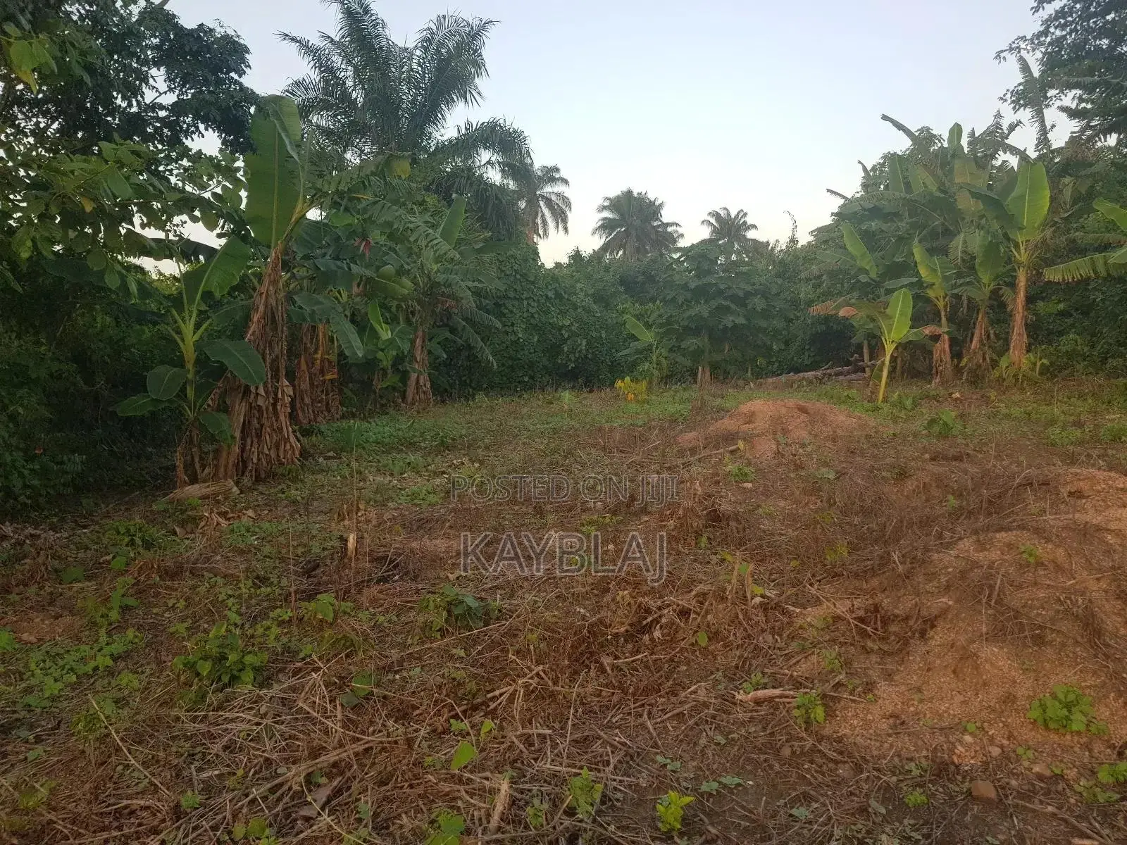 A Plot of Land for Rent in Ife