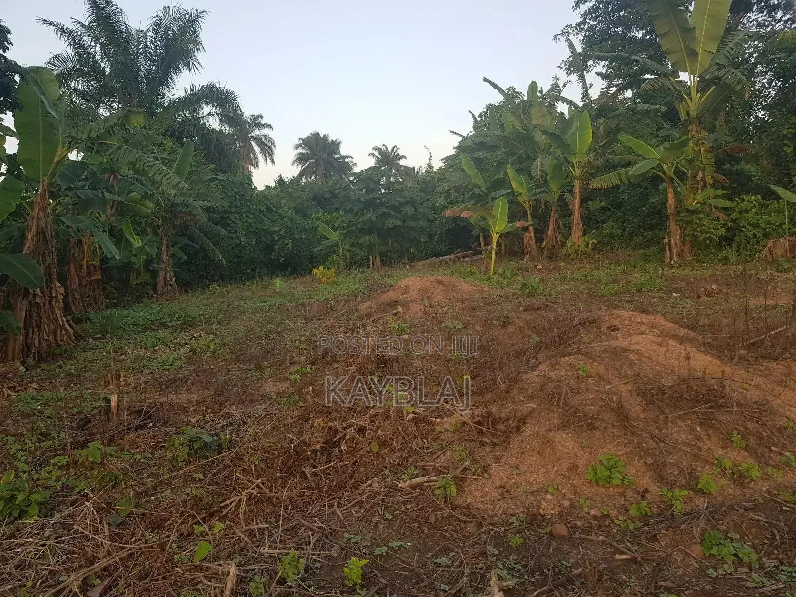 A Plot of Land for Rent in Ife