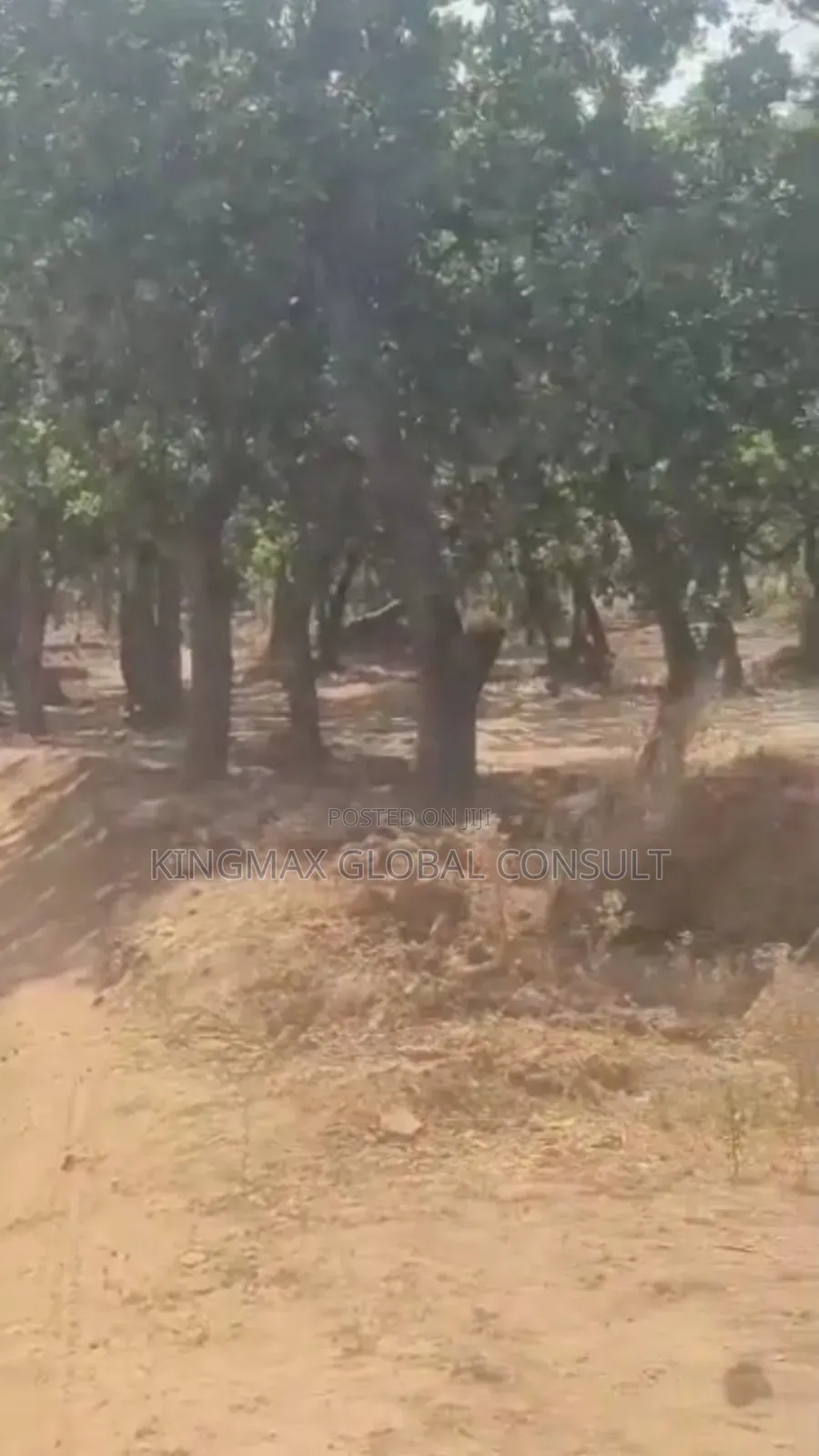 Dakibiu Size 8255.02sqm C of O Collected Commercial Not Specified in Dakibiyu