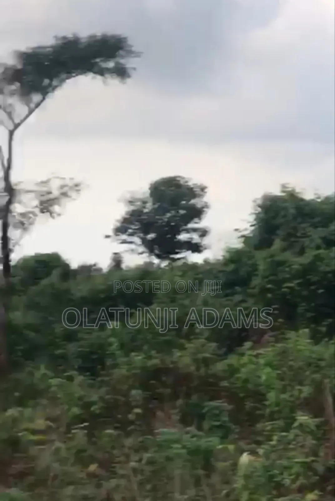 50acres of Land at Kajola/Alafon Close to Osogbo in Osogbo