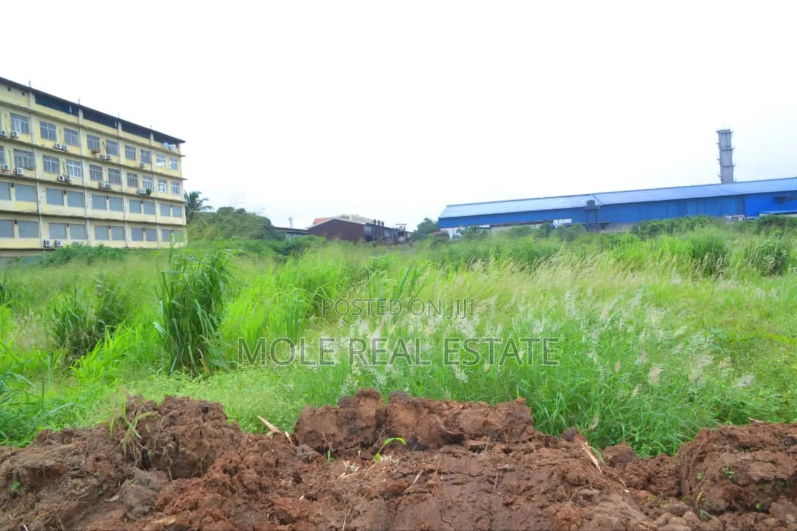 11.5 Acers of Land at Acme Road 4 Sale Ikeja in Ikeja