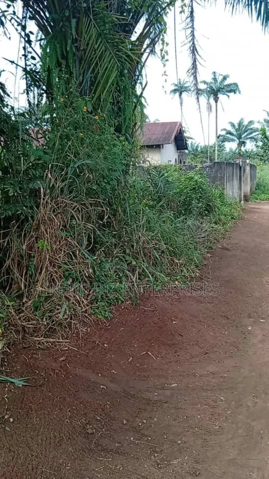 A Plot 100/50 
For Sale in Owerri