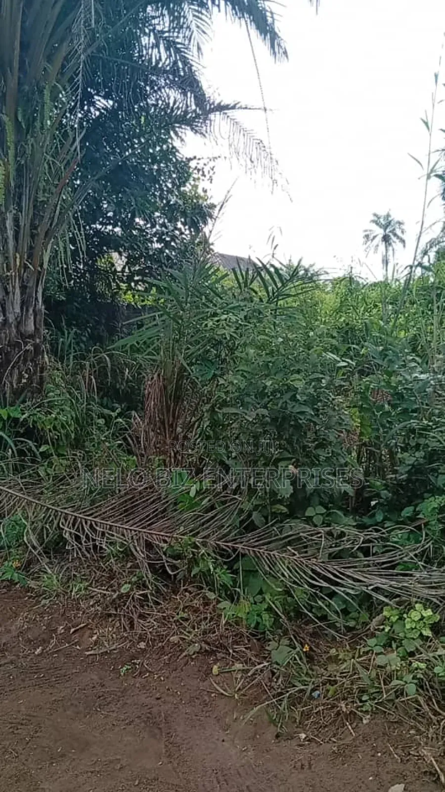 A Plot 100/50 
For Sale in Owerri