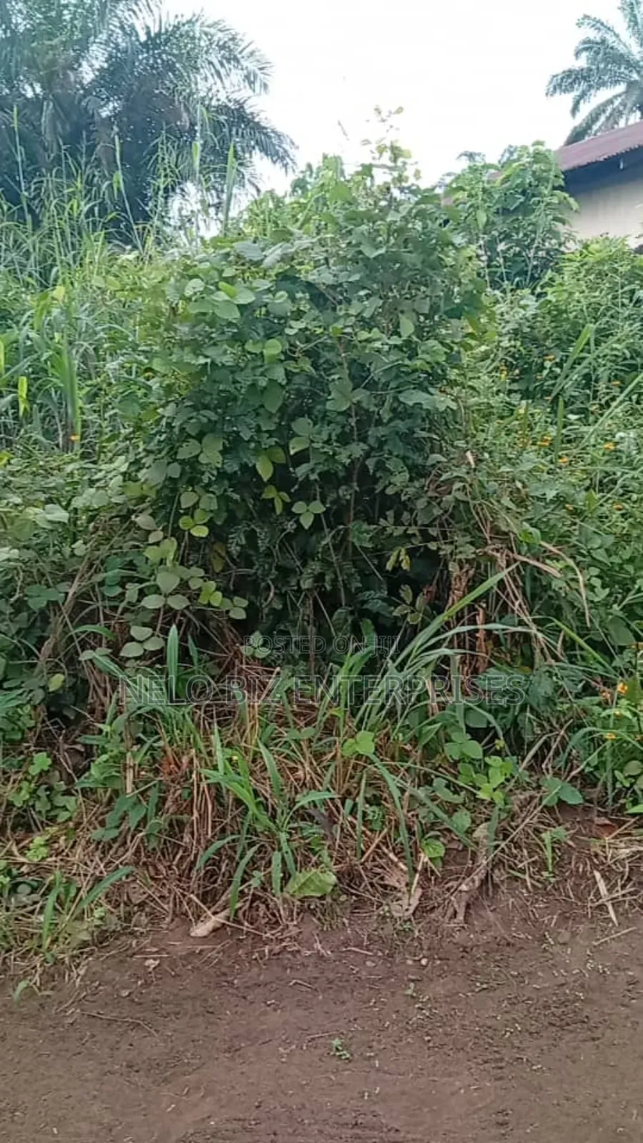 A Plot 100/50 
For Sale in Owerri